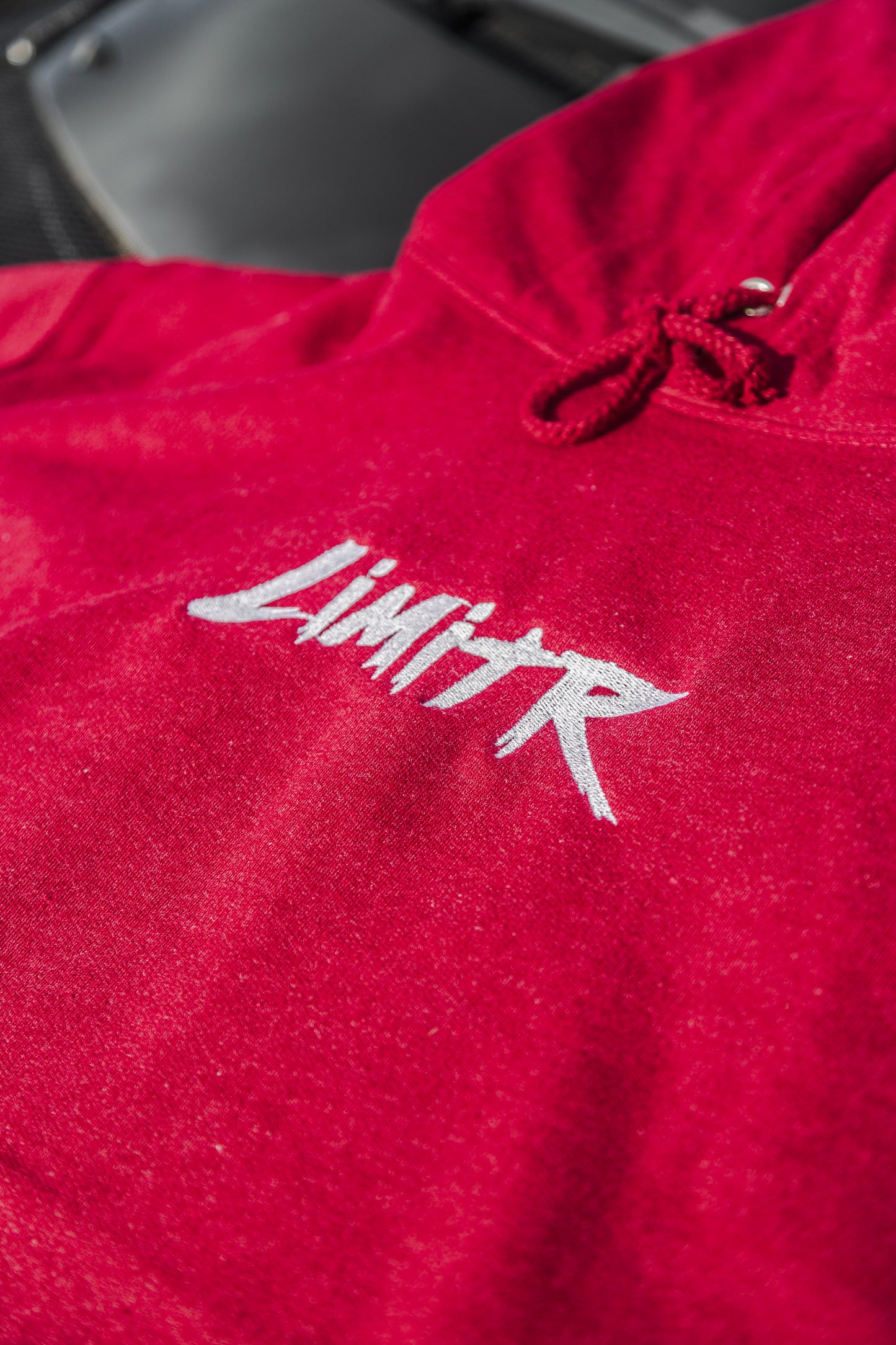 Script Logo Embroidered Hoodie